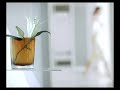 TVC Giv White Soap PAPAYA