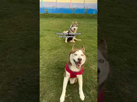 Our bebus at Tabassum 💛