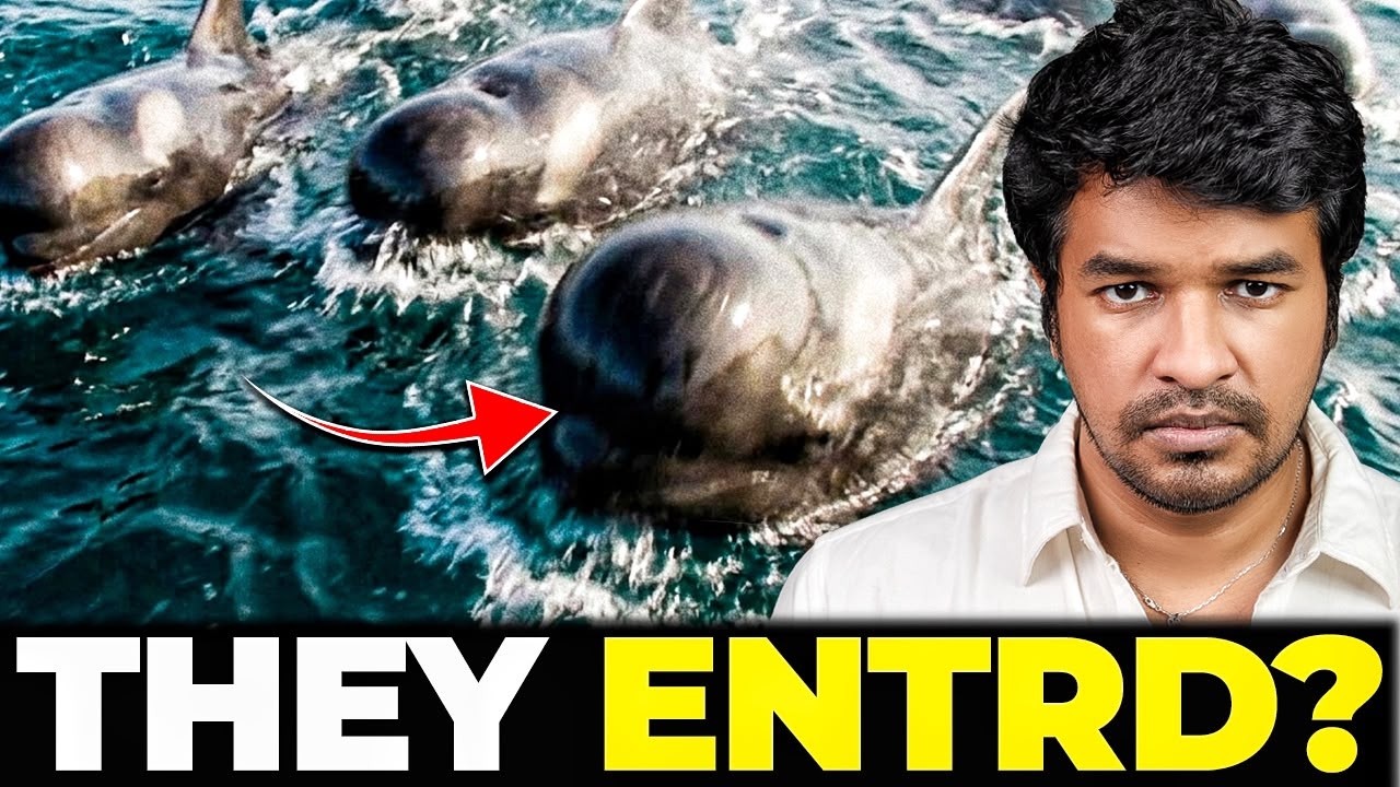Big Whale Mystery - What Happened? | Madan Gowri 🖖🏻