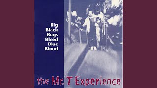 A Song About a Girl Who Went Shopping