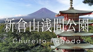 絶景 空撮 新倉山浅間公園 忠霊塔の新緑と富士山 -  Mt.Fuji at Chureito Pagoda in summer