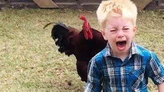 Download lagu Funny Chickens Chasing Troll Babies and Kids|| Funny Baby And Pet mp3 Download lagu Funny Chickens Chasing Troll Babies and Kids|| Funny Baby And Pet mp3