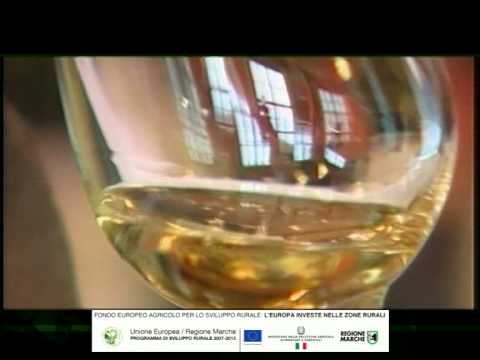 16 Verdicchio di Matelica Riserva docg
