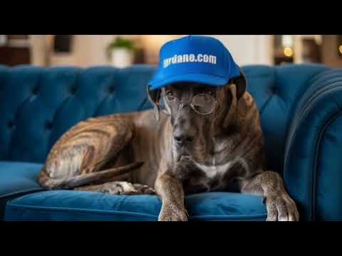 Yeti’s Weekly Complaints- Humans Trip Over Air