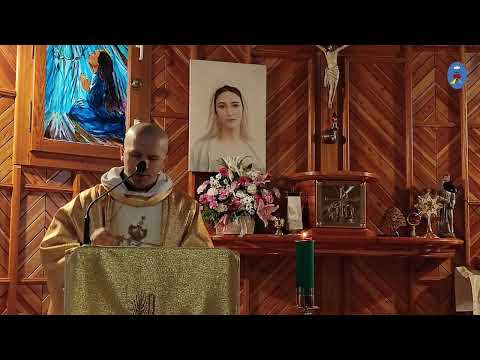 Pustelnia 08.02.2022- Kazanie o.Daniela - Sprzeciwiajmy się faryzeuszom Kościoła i covidianizmowi