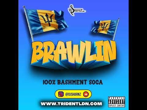 BRAWLIN - 100% BASHMENT SOCA MIX