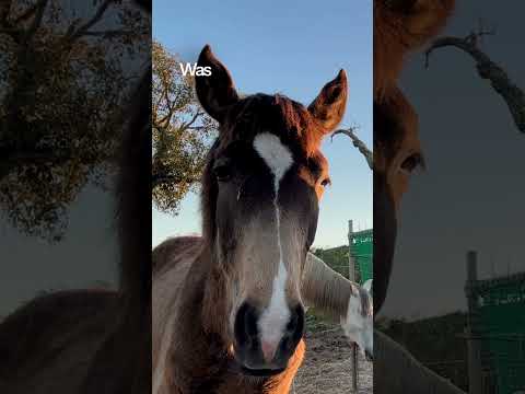 #funktionieren Wie können wir aus dem Funktionieren aussteigen?