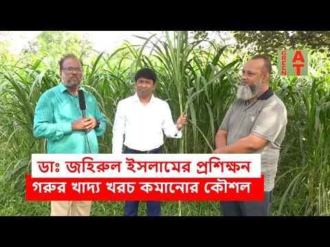 জারা ঘাস চাষ