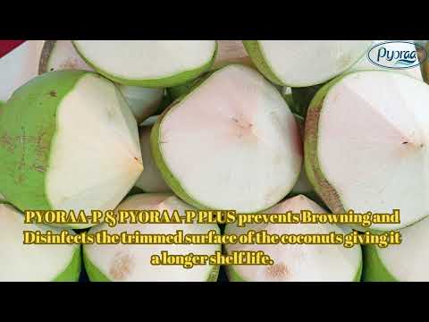 Form: powder pyoraa-p ( coconut preservative ), packaging si...