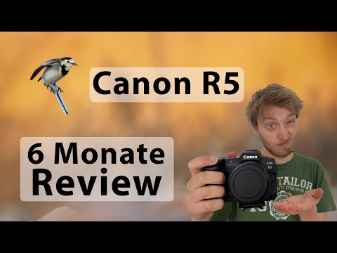 Canon R5 Review (Deutsch): Canons beste Kamera? Update nach 6 Monaten Nutzung