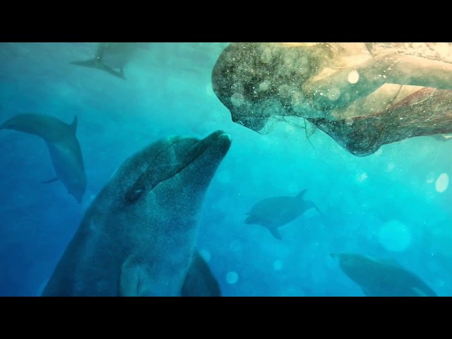 Vídeo relacionado con Dangerously Yours: The Durand Chronicles - Book One