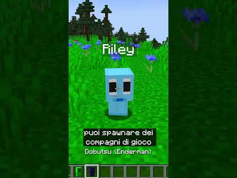 I MINI YOUTUBERS SU MINECRAFT