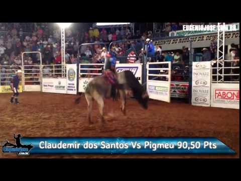 FEPEINA 2015 RETRÔ - ROUND I - Claudemir Dos Santos  Vs Pigmeu