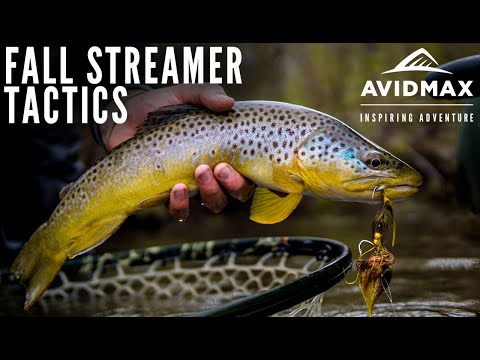 Fall Streamer Tactics | Fly Fishing & Floating in Colorado
