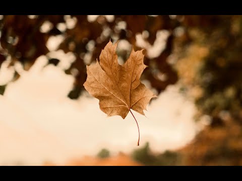 Paulina Tremurici - Nu mă lăsa Isus din mâna Ta