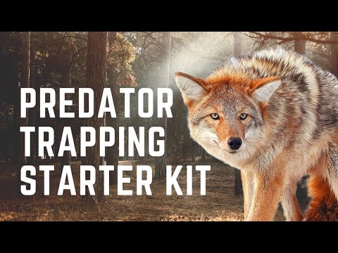Get Started Coyote and Fox Trapping with this ONE Kit!