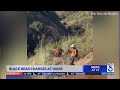 Black bear charges hiker on Mt. Wilson