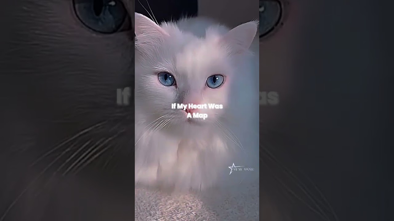 Every Road Would Lead Straight To You‹3 #shorts #fyp #star_unnie