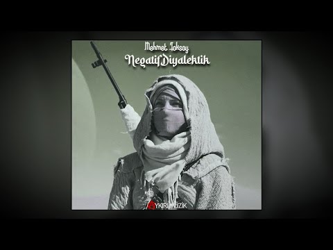 Mehmet Toksoy - Negatif Diyalektik