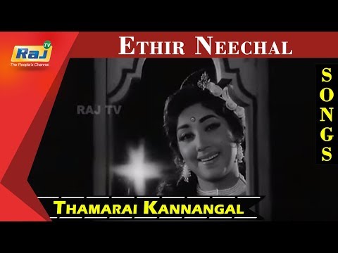 THE WEDDING VEIL QUE VER ANTES