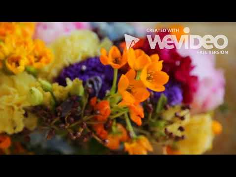 Go Well Photography video.