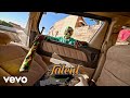 Alien Skin Official Talent Official Music Video