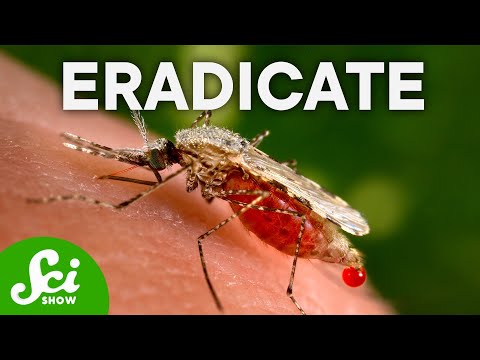 What If We Killed All the Mosquitoes?