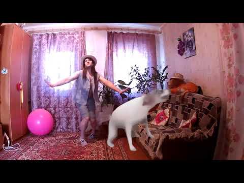 DJ Shorty, El Micha - Shake Señora *** Весёлый Позитивчик-хореография от Андрея Боголюбского