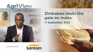 Ep 16 – Zimbabwe shuts the gate on maize