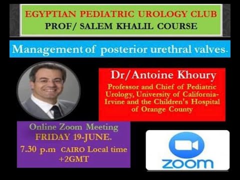 Management of Posterior Urethral Valves, by professor Tony Khoury