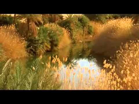 Comme Un Souffle A Filetta