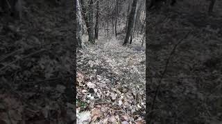 Download lagu Wv stair steps - the widow maker mp3