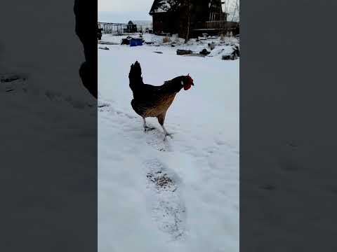 Snuck out then realized that wasn't where she wanted to be!