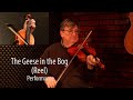 The Geese in the Bog (Reel) - Trad Irish Fiddle Lesson by Kevin Burke