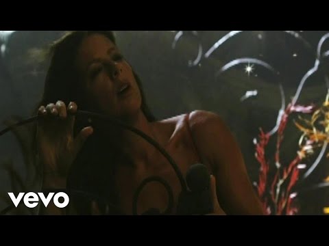 Sarah McLachlan Video