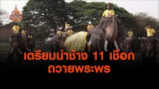 เตรียมนำช้าง 11 เชือก ถวายพระพร (7 พ.ค. 62)