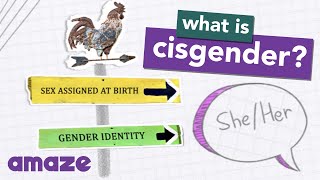 What is Cisgender #AskAMAZE