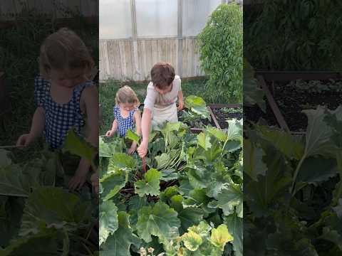 Henry made a rhubarb spoon cake! It was a dream ✨ from The Lost Kitchen cook book 📒📖