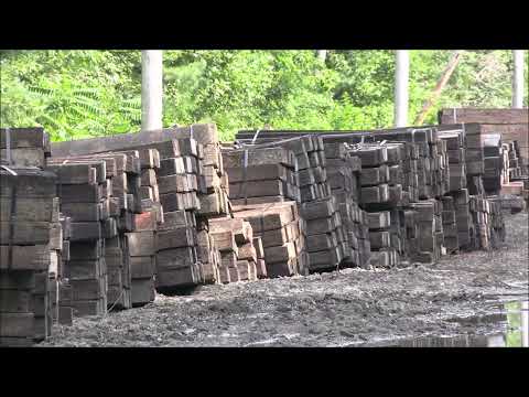 Railroad restoration: New siding track in Taunton, MA - 8/21/2023