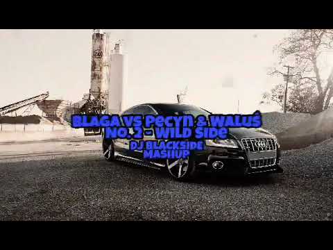Blaga vs Pecyn & Waluś No. 2- Wild Side DJ BlackSide Mashup