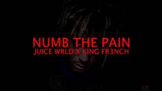Numb the Pain- Juice WRLD x King Fr3nch