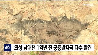 의성 남대천 1억년 전 공룡발자국 발견 - 안동MBC 의성 남대천 1억년 전 공룡발자국 발견 - 안동Mbc