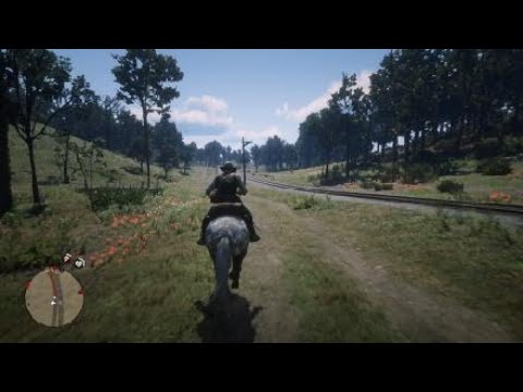 Domando um puro sangue inglês