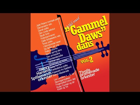 Tyrolervals og hopsa