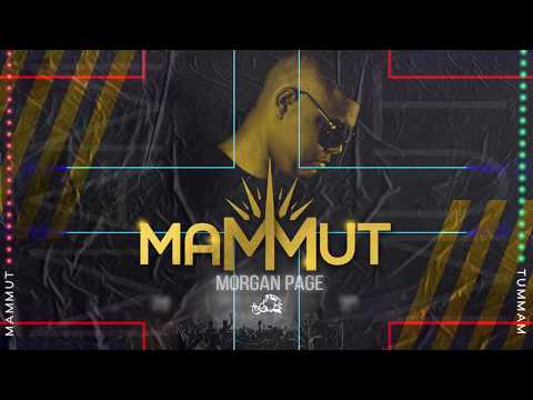 Mammut Dj - Morgan Page - Guaracha, Aleteo, Zapateo, Tribal 2019