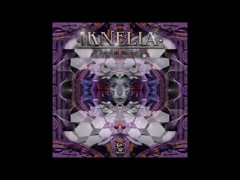 Tzolkin Project - Pilocibina