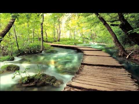 Ron Allen - The tree