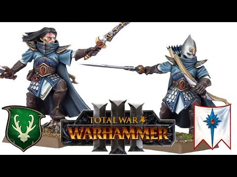 A WILD ELF DUEL | High Elves vs Wood Elves - Total War Warhammer 3