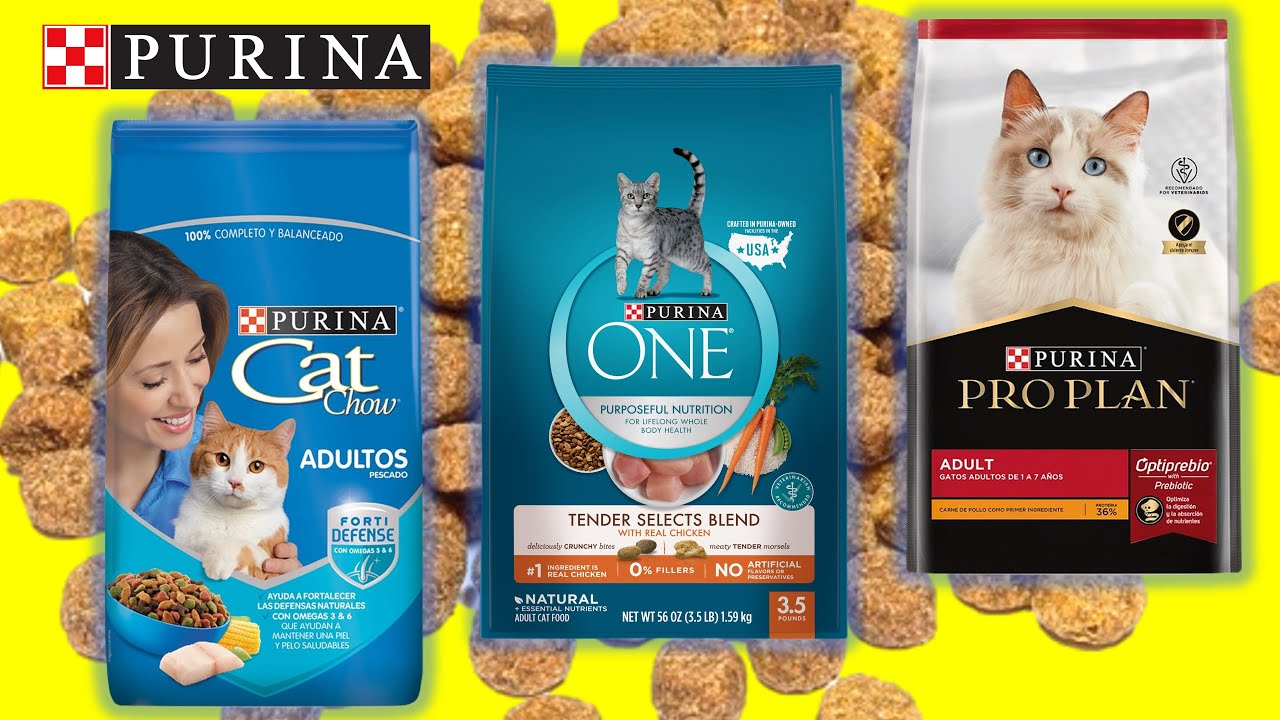 CAT CHOW, PURINA ONE y PROPLAN. ¿Compraría alimento seco de PURINA para mis gatos