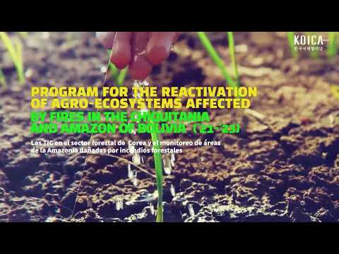 PIP 촬영 샘플 썸네일